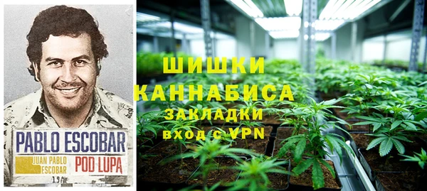 крисы Алзамай